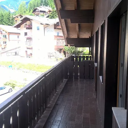 Stella Alpina